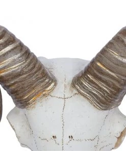 Grayson Lane 12-in H x 14-in W Farmhouse Skull Resin Wall Accent -GRAYSON LANE shop 330942635 AlternateImage6 l