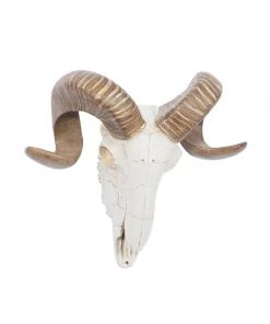 Grayson Lane 12-in H x 14-in W Farmhouse Skull Resin Wall Accent -GRAYSON LANE shop 330942635 AlternateImage7 l