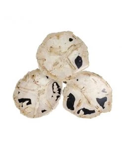 Grayson Lane Brown Wood Round Accent Table -GRAYSON LANE shop 330944776 AlternateImage4 l