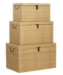 Grayson Lane 24-in x 28-in Contemporary Trunks Contemporary Brown Metal - Set of 3