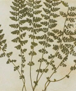 Grayson Lane Brown Wood Framed 27-in H x 20-in W Botanical Wood Print - Set of 2 -GRAYSON LANE shop 330945152 AlternateImage4 l