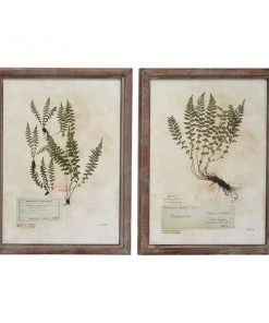 Grayson Lane Brown Wood Framed 27-in H x 20-in W Botanical Wood Print - Set of 2