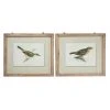 Grayson Lane Brown Wood Framed 23-in H x 27-in W Farmhouse Birds Wood Print - Set of 2