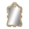 Grayson Lane 39-in x 25-in Irregular Wall Mirror